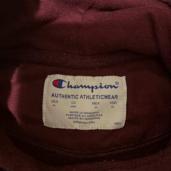 Champion Hooded Sweatshirt • C Logo & Champion on arm 🌻 - Picture 5 of 5